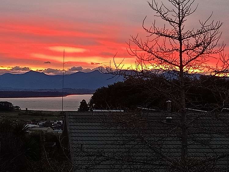 64 Chamberlain Street Tahunanui_28