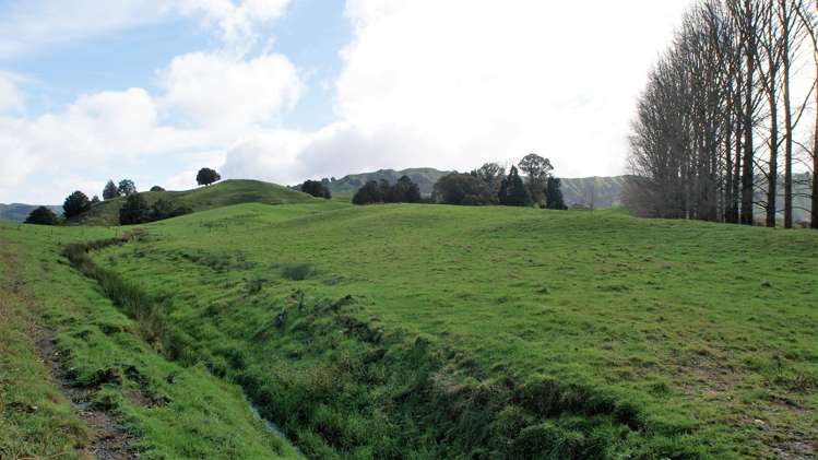 4501 State Highway 4 Waimiha-Ongarue_21