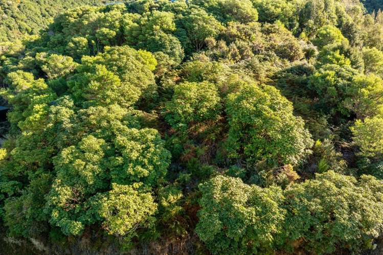 37 Marina Drive Waikawa_12