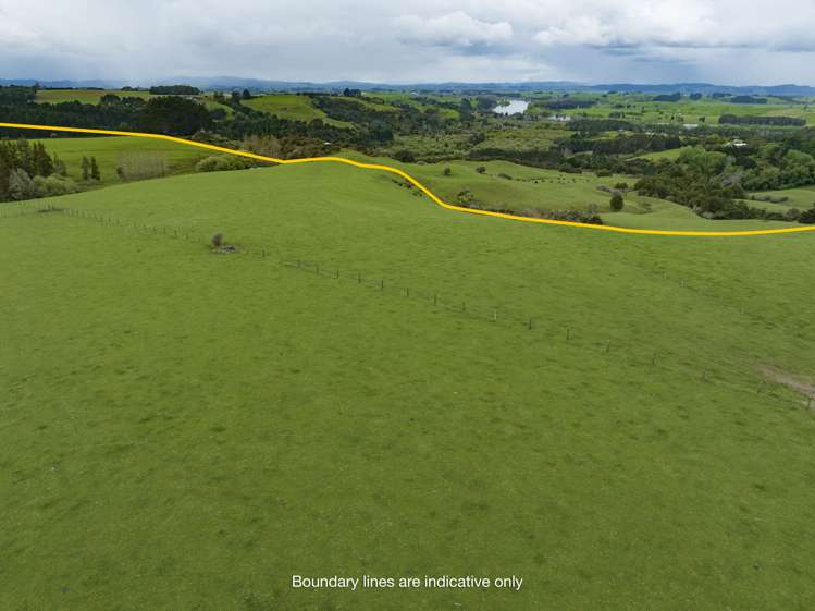 89 Punga Punga Road Pukekawa_10