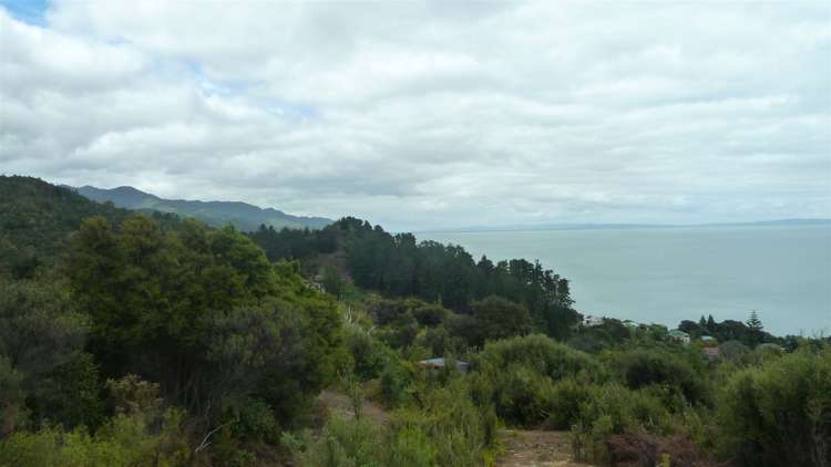 45 Otuturu Crescent Thames_20