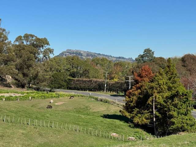 Tuki Tuki Road Haumoana_3