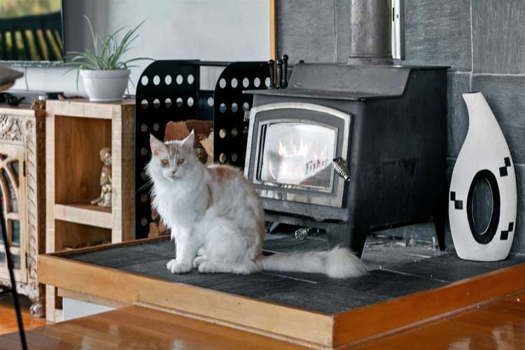 24 Dawn View Place Wairoa_12