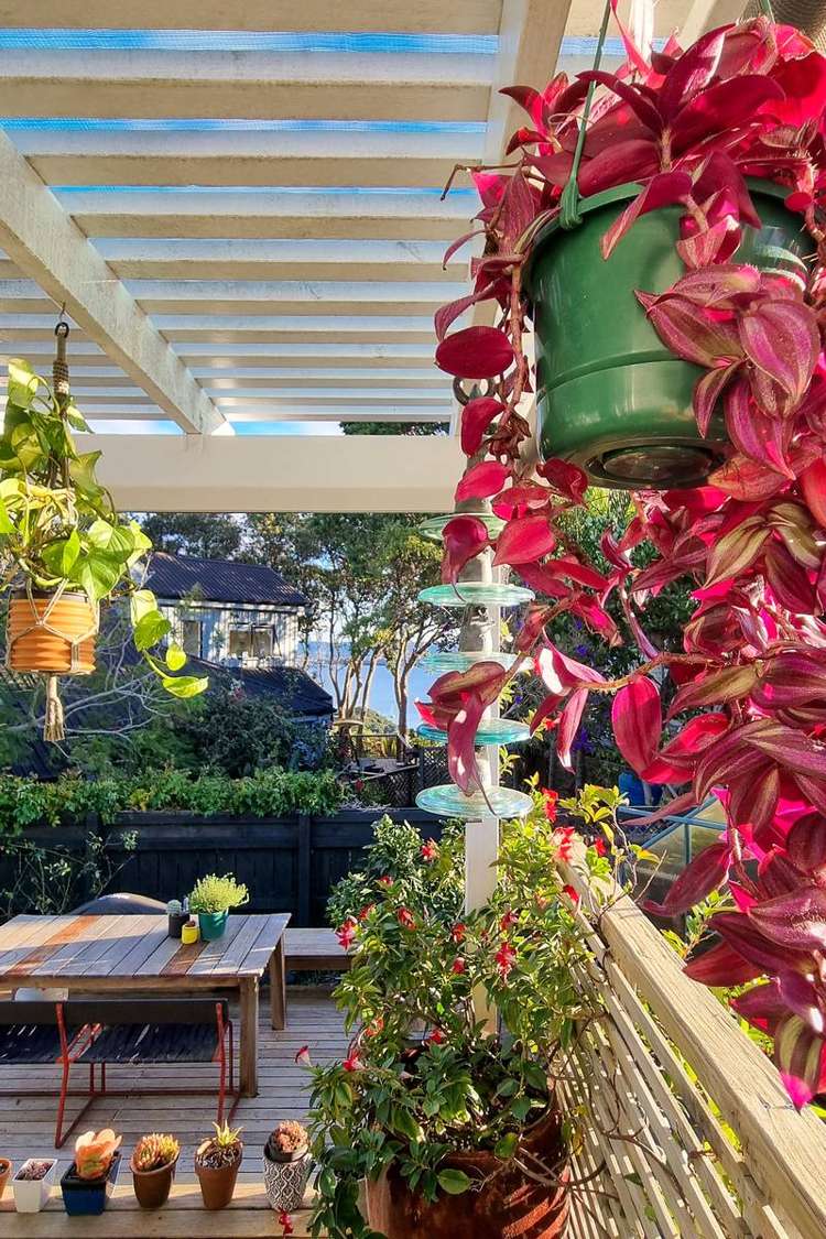 1/146 Rangatira Road Beach Haven_26