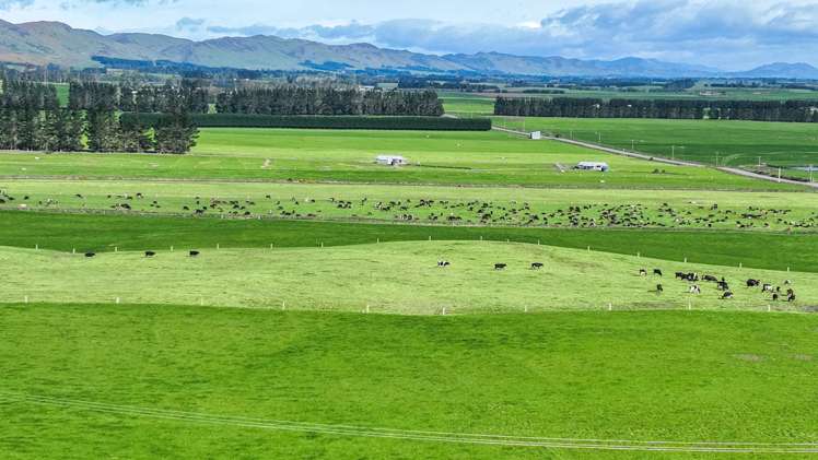 1095 Waimea Valley Road Nine Mile_6