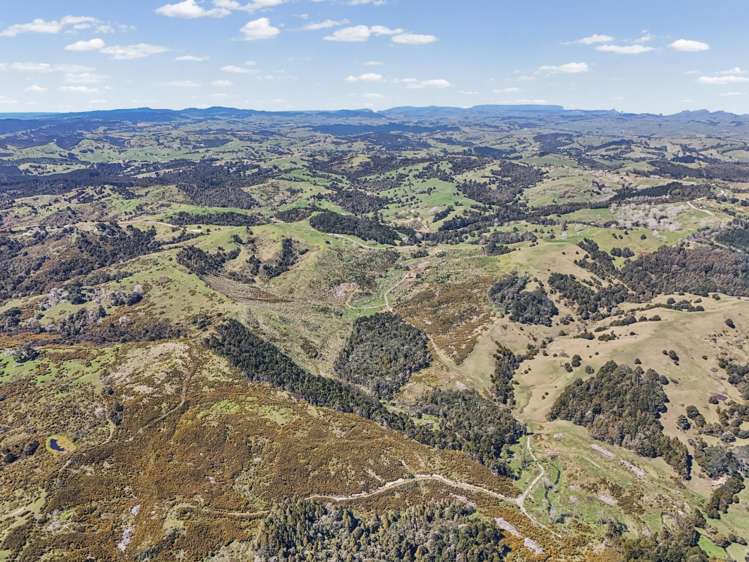 Arcadia Road Paparoa_3