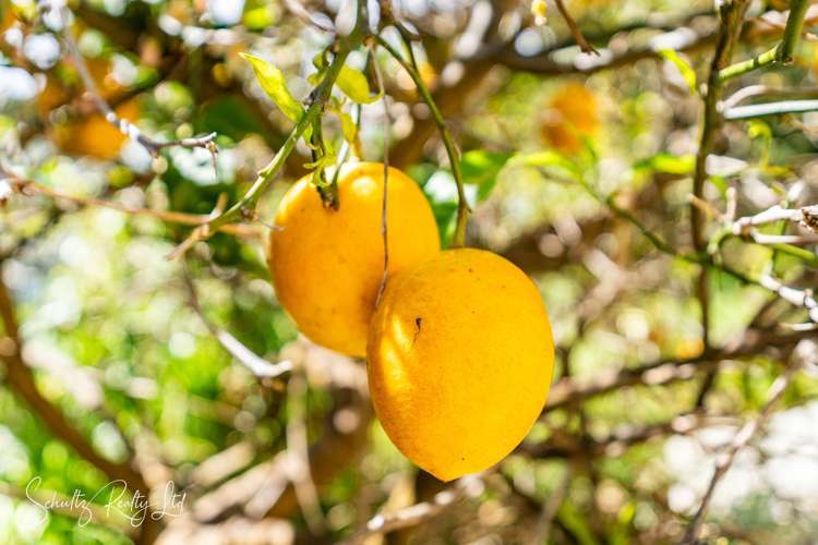 5A Whaka Street Maungaturoto_21