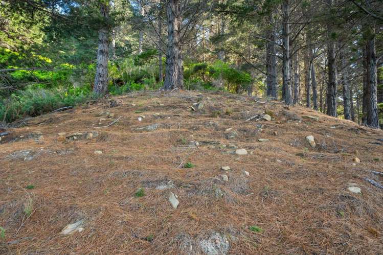 Lot 1 Maraetai Bay Queen Charlotte Sound_9