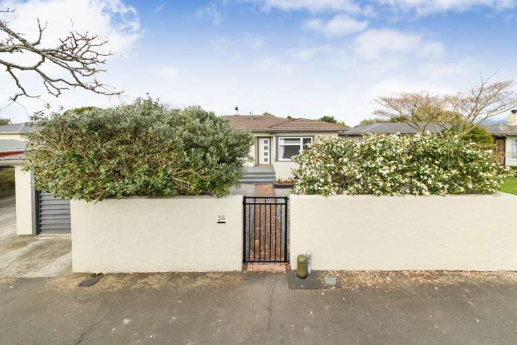 36 Aberdeen Avenue Takaro_15