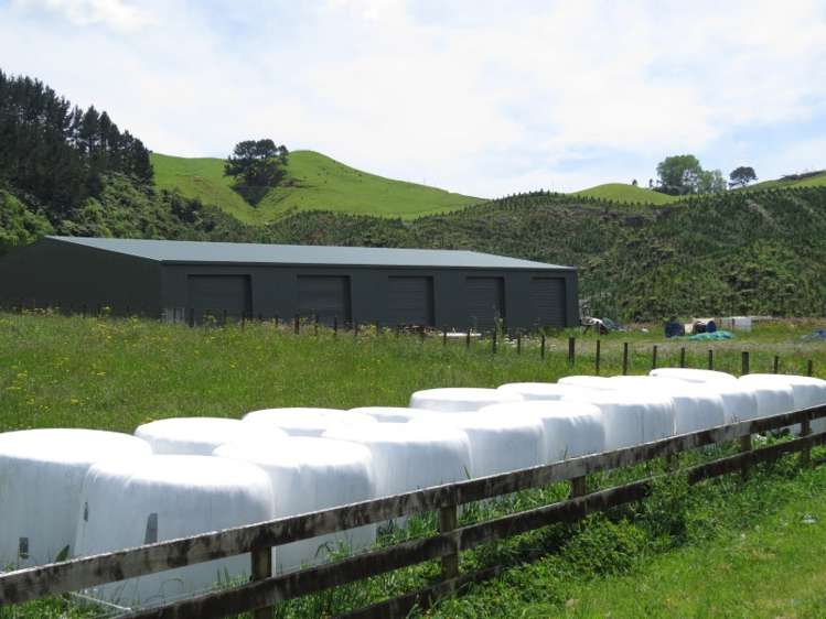 402i Crawford Road Wairoa_7