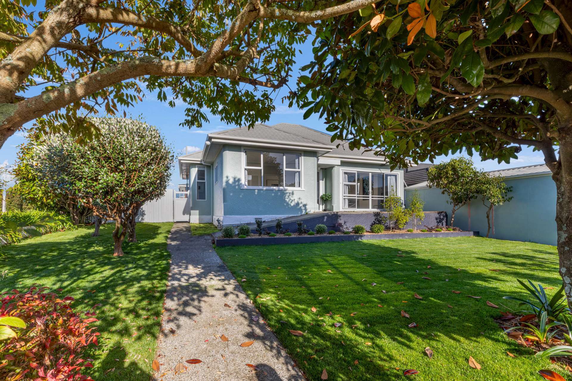 186 Bath Street Levin_0