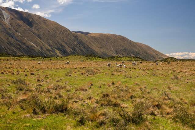 Lagoon Block, Ohau Downs Station Lake Ohau_4