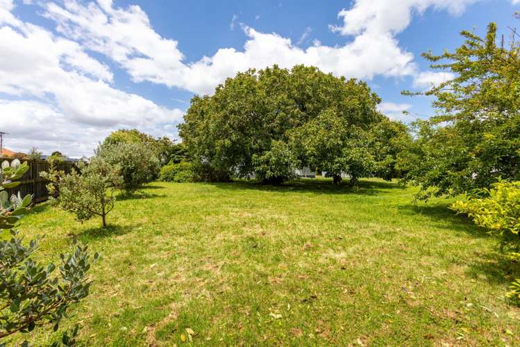 31 Ormond Street Woodville_23