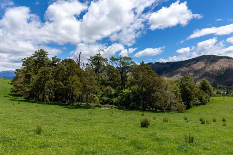 281 Tadmor Valley Road Tapawera_42