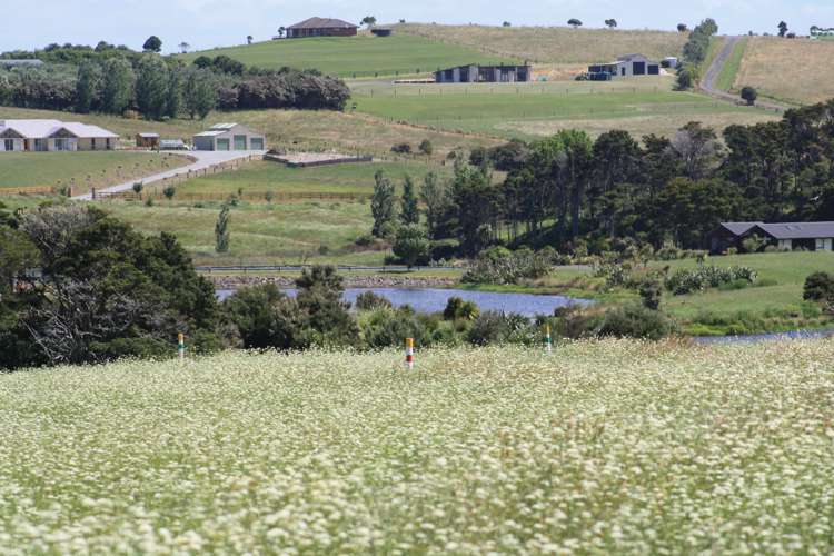 16 Woodleigh Lane Mangawhai_4