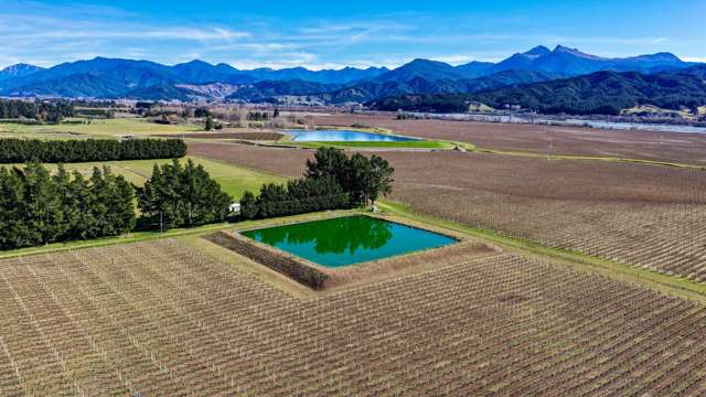 2486 State Highway 63 Wairau Valley_4