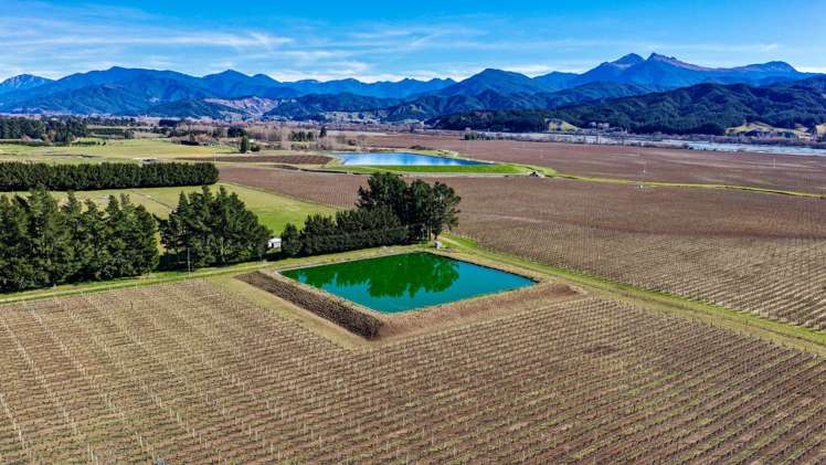 2486 State Highway 63 Wairau Valley_4