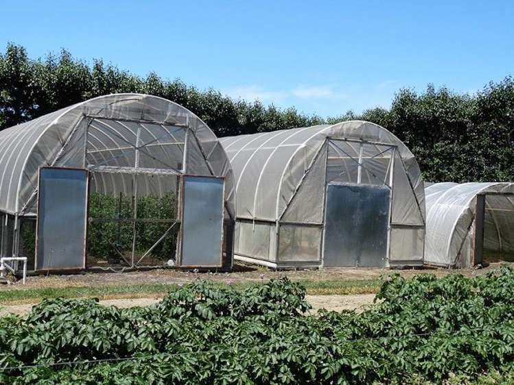 21 Drummond Road Lower Moutere_11