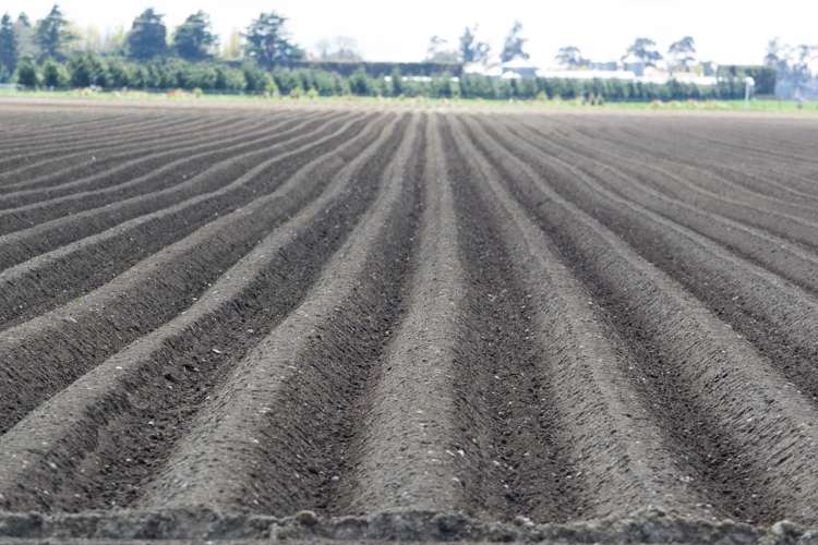 1076 Methven Chertsey Road Lauriston_5