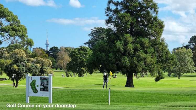 12a Handley Avenue Narrow Neck_6