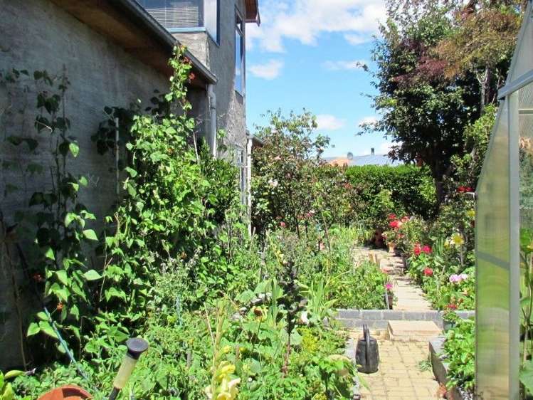 3 Fenwick Crescent Cromwell_16