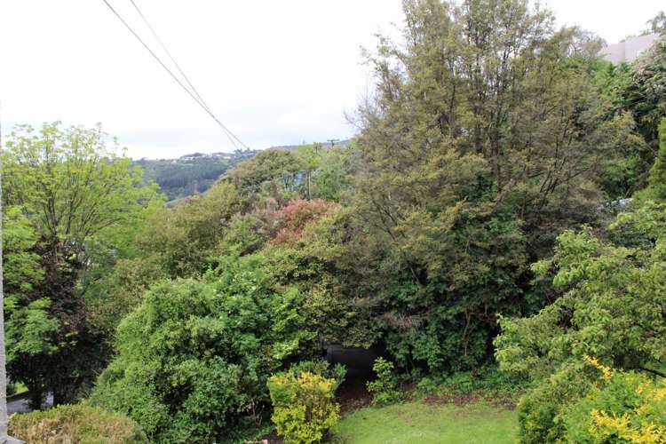 56 Chambers Street North East Valley_13