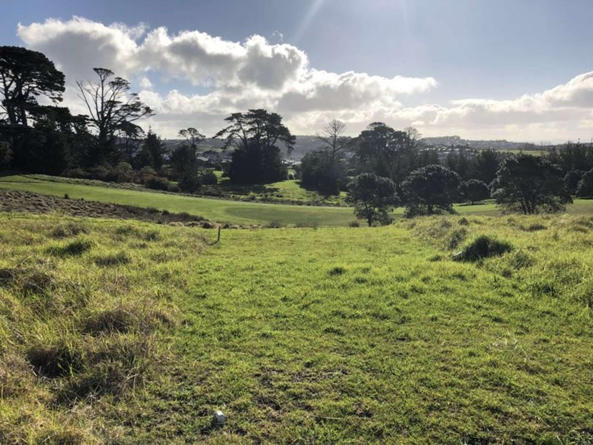 309 Pinecrest Drive Gulf Harbour_0