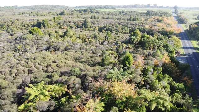 Lot 5 Wilsons Lead Road Cape Foulwind_2