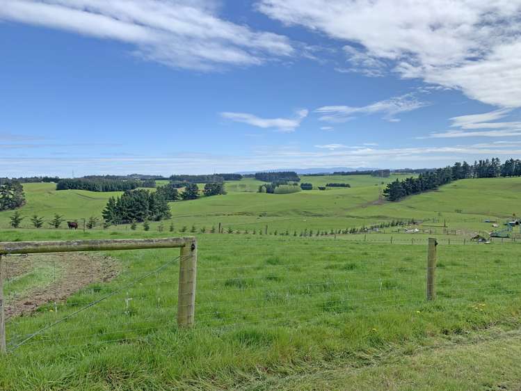 2035 Hillfoot Road Catlins Surrounds_18