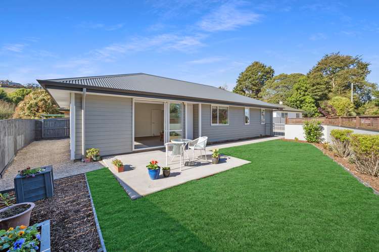 249 Annesbrook Drive Wakatu_12