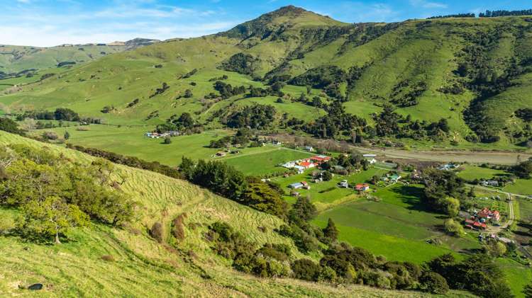 1234 Okains Bay Road Okains Bay_23