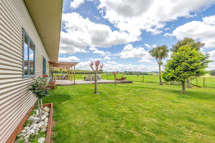 47 Viles Road Bulls_19