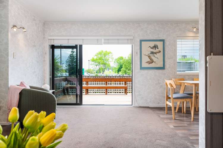 56b Anglesea Street Hamilton Central_11