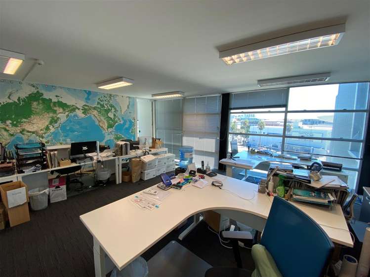 8 Augustus Terrace Parnell_5