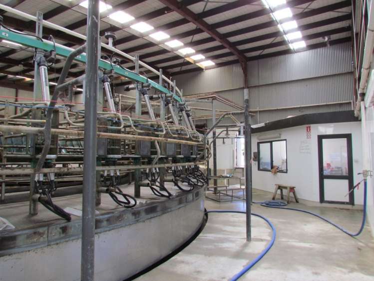 219 Beacon Hill Road Clinton and Surrounds_13