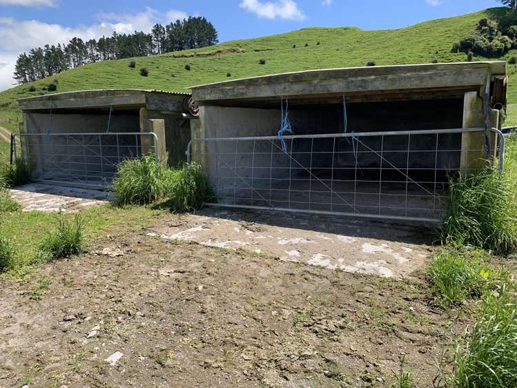 678 Bird Road Stratford_7