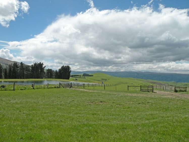 902 Moa Flat Road Ettrick_1