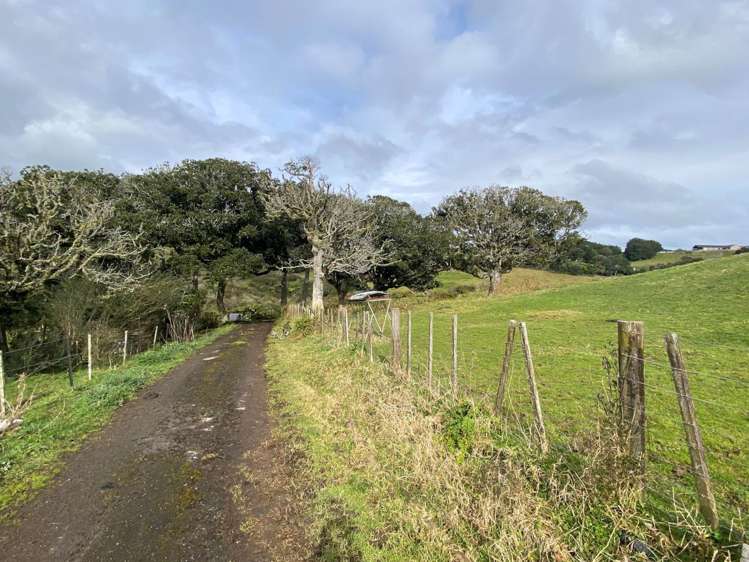 259 Kaipo Flats Road Onewhero_12