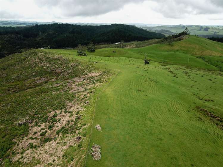 State Highway One Taupo_18