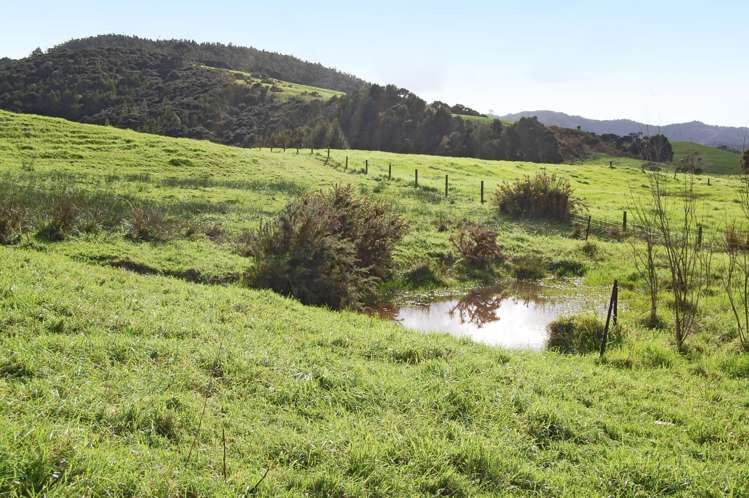 353a Brown Road Kaiwaka_10