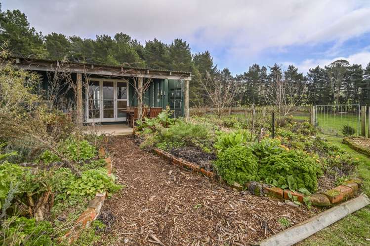 97 Waikareao Road Central Hawkes Bay Coastal_18