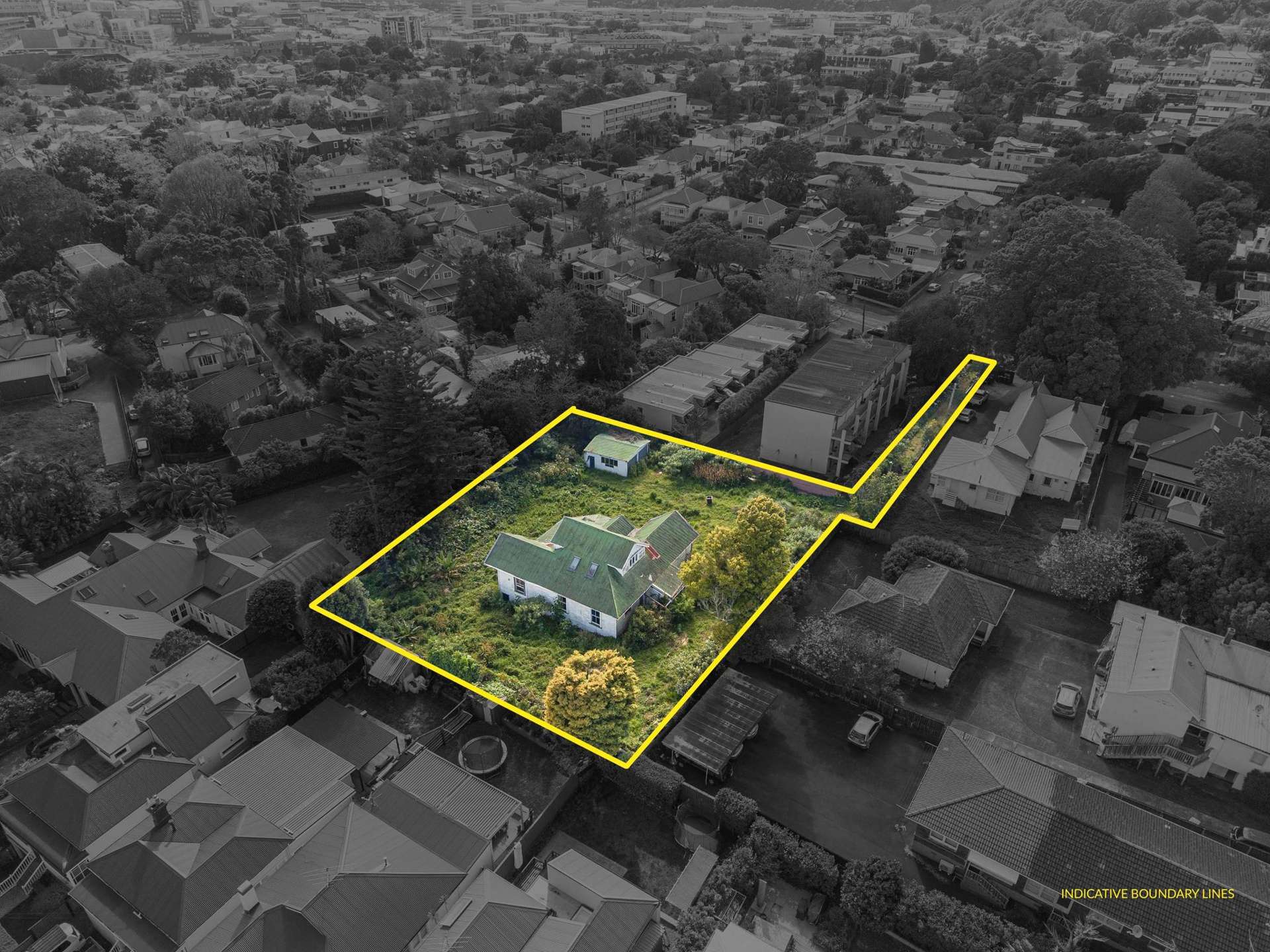 49 Wynyard Road Mount Eden_0