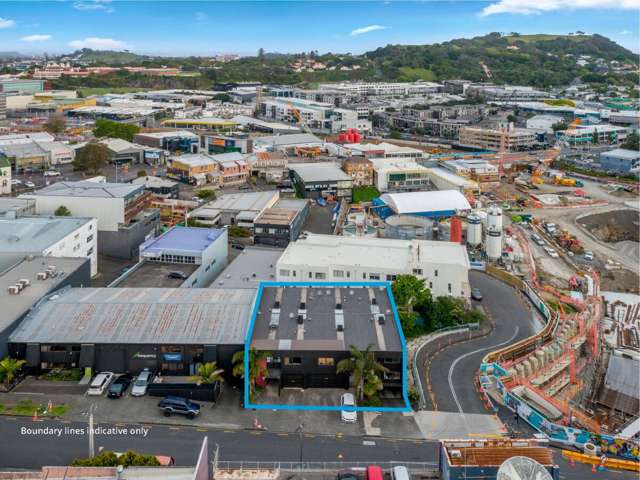 12-14 Nikau Street Eden Terrace_2