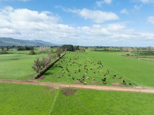 1099 Tower Road Matamata_3