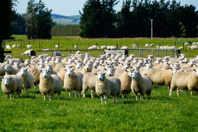 372 Looney Road South Hillend_2