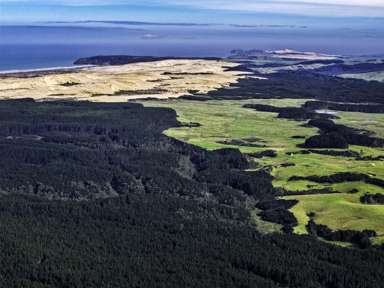 State Highway 1, Waitiki Landing_4