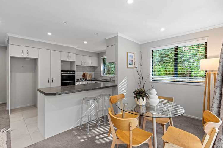 208b Glenmore Road Coatesville_10