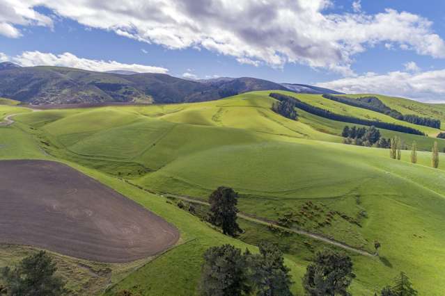 Medium Scale Dairy Support Opportunity