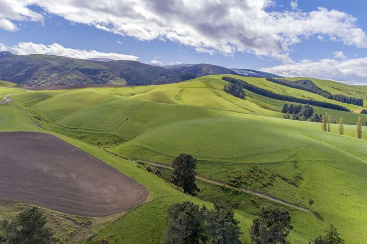 1537 Geraldine-Fairlie Highway_0