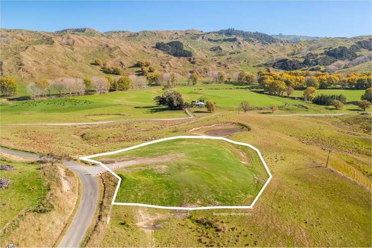 Lot 2/169 Williams Road_0